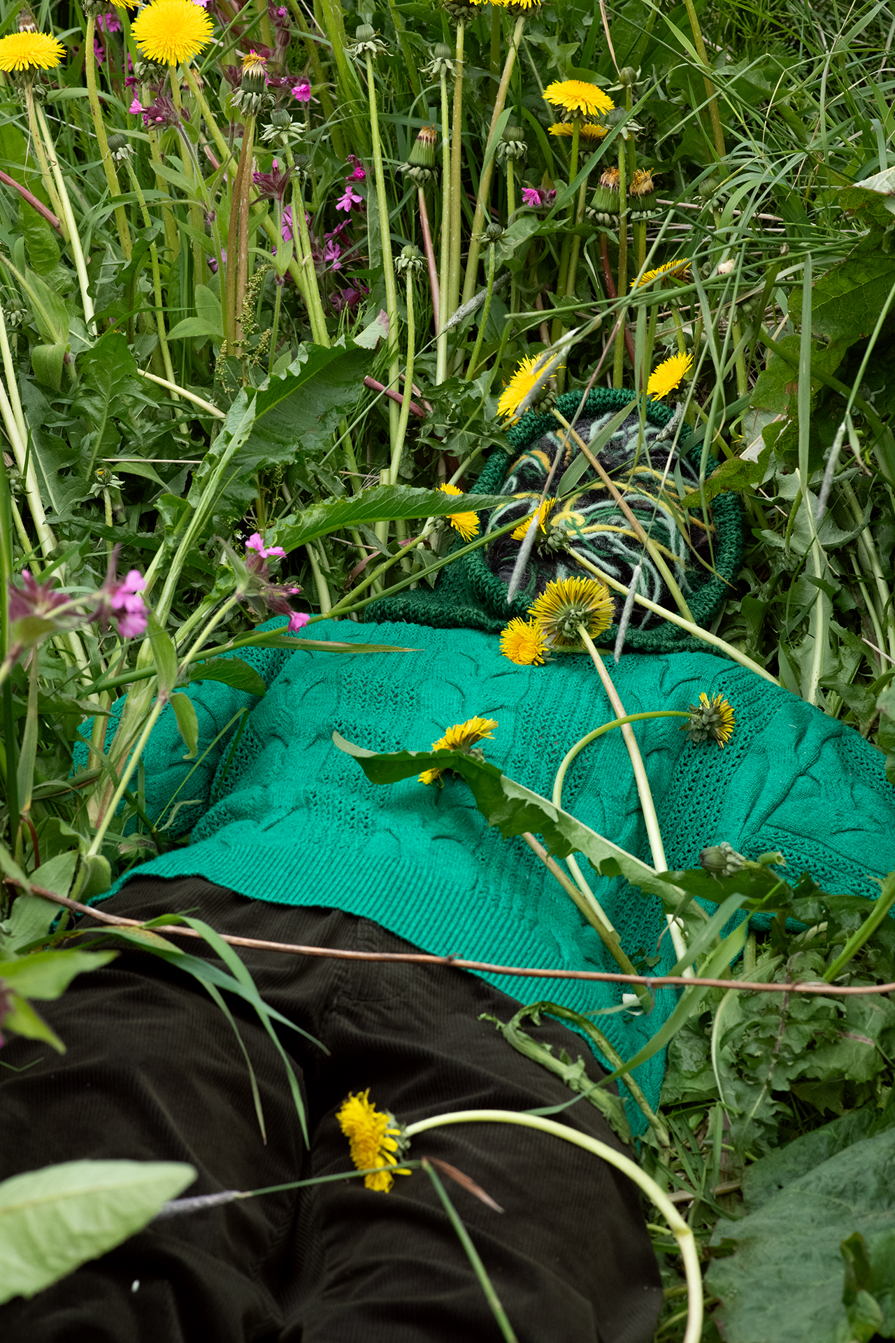 How to be No One, Dandelions 2, 2024