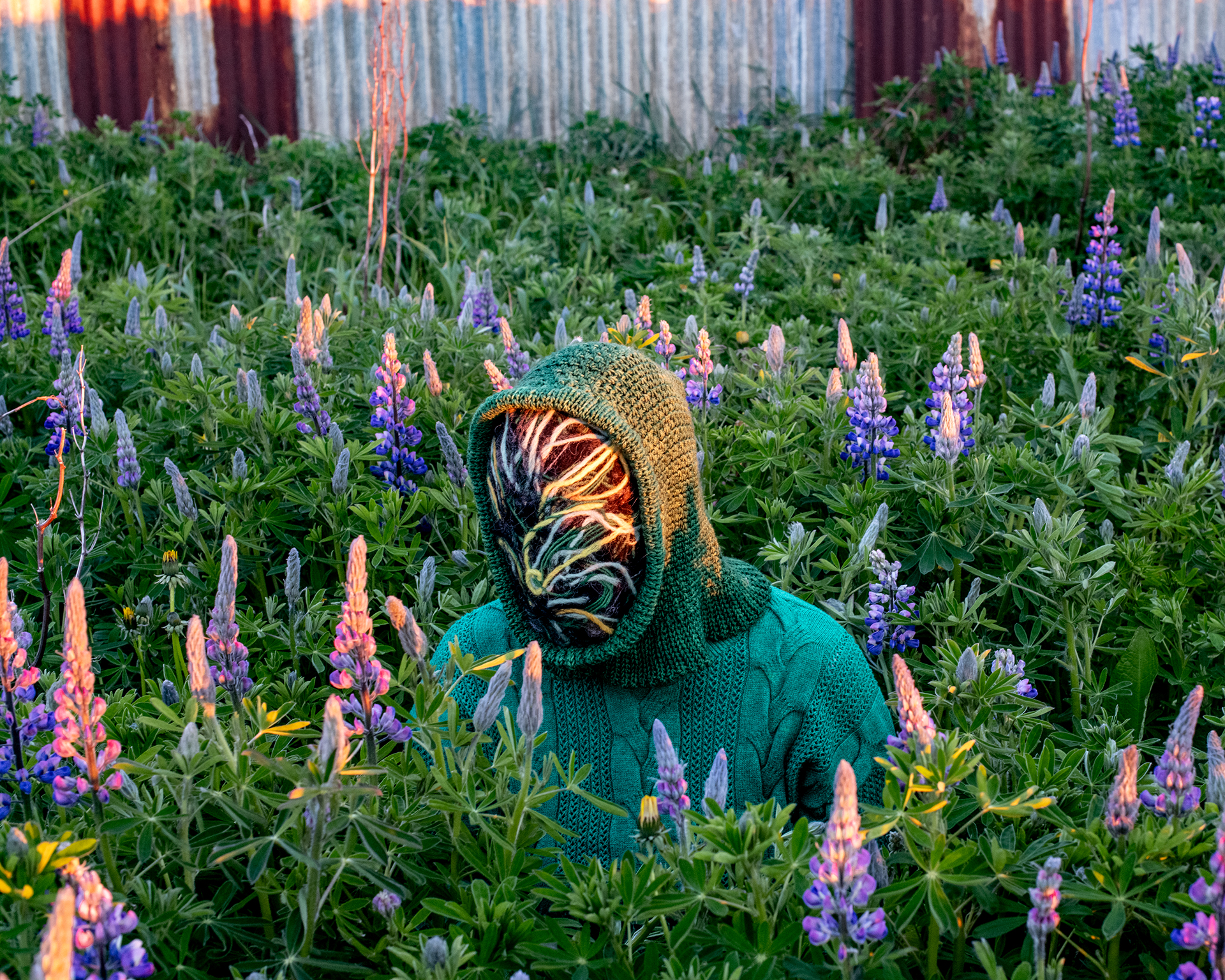 How to be No One, Lupins 2, 2024