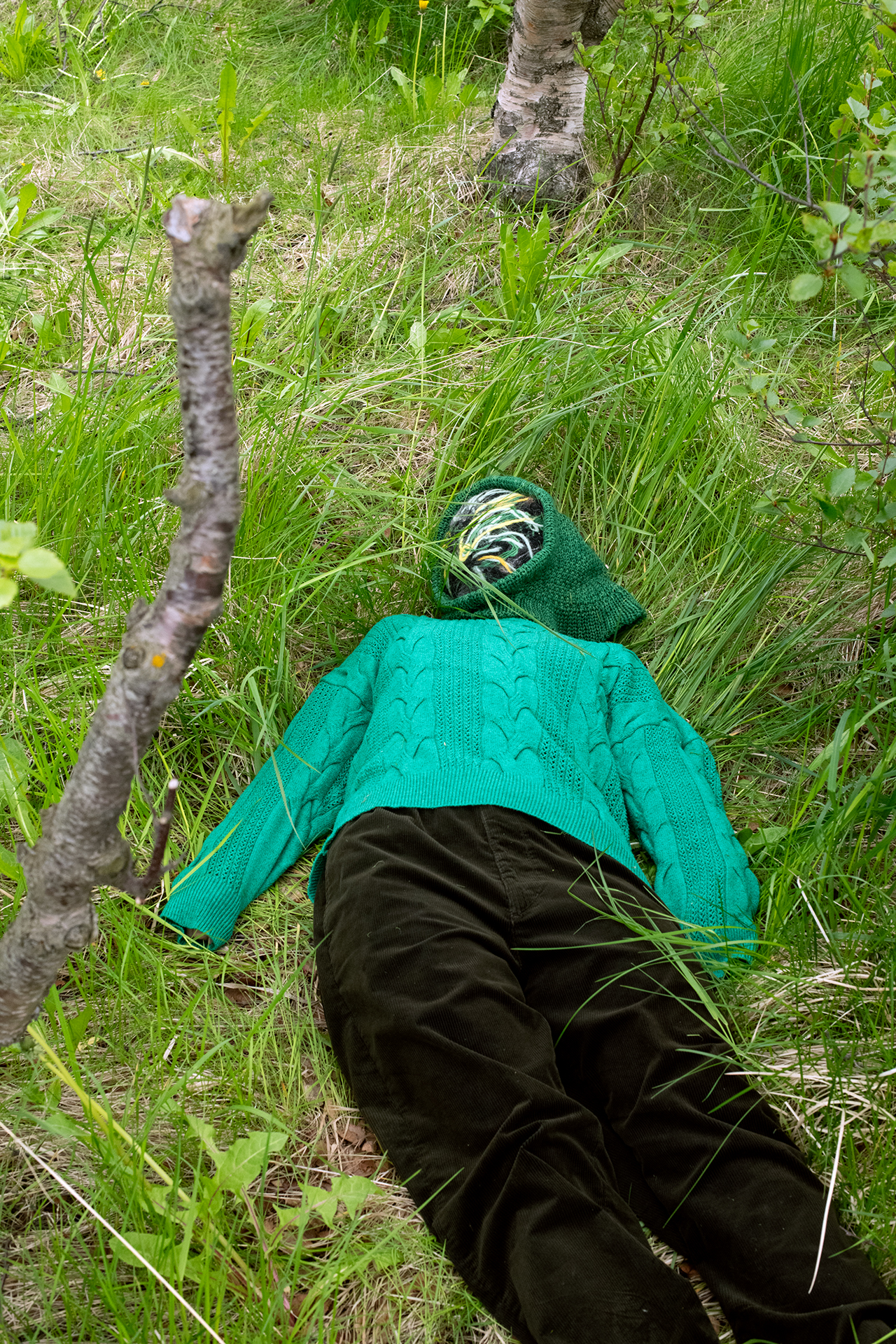 How to be No One, Tree Clearing, 2024